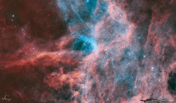 V1769 Cyg